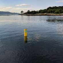 Sensor in the water